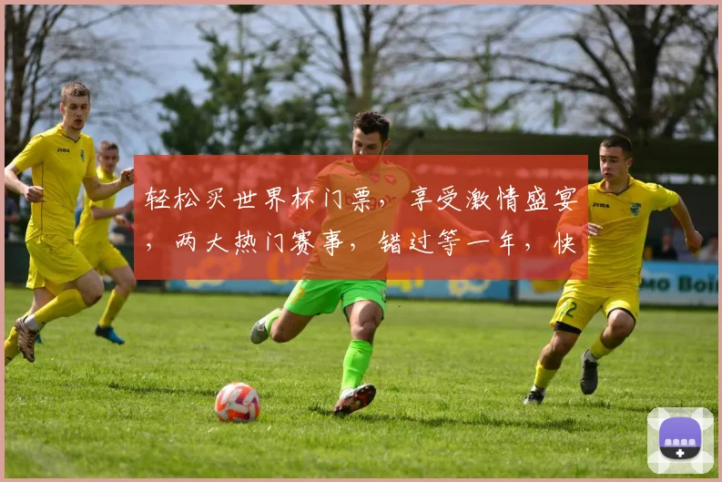 轻松买世界杯门票，享受激情盛宴，两大热门赛事，错过等一年，快来抢购
