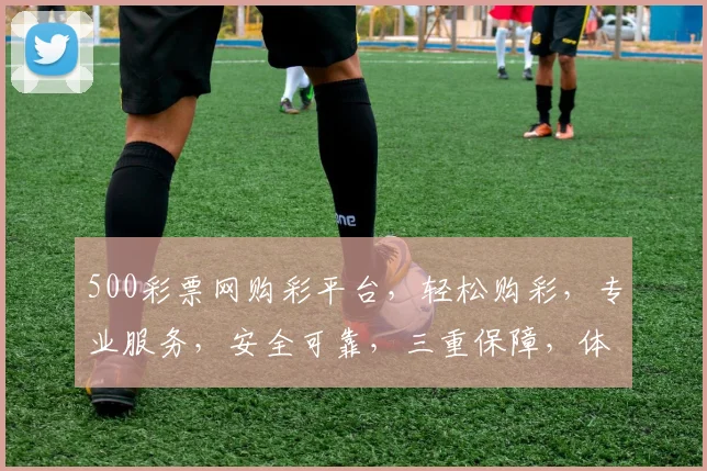 500彩票网购彩平台，轻松购彩，专业服务，安全可靠，三重保障，体验非凡，让您购彩无忧，快乐无限