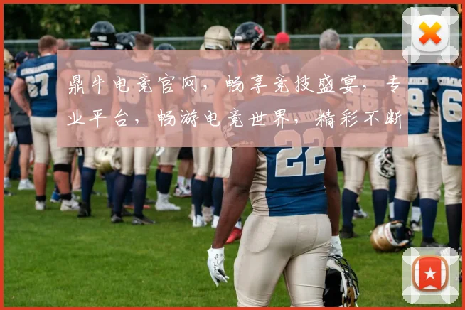 鼎牛电竞官网，畅享竞技盛宴，专业平台，畅游电竞世界，精彩不断，快来加入