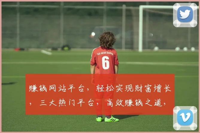 赚钱网站平台，轻松实现财富增长，三大热门平台，高效赚钱之道，不容错过